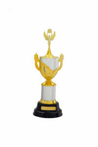 Troféu Tradicional Ref. 300154 - 60 cm