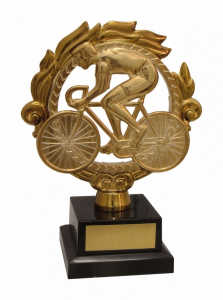Troféu Tradicional Ref. 600043 - 18 cm
