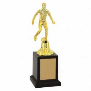 Troféu Tradicional Artilheiro 24 cm