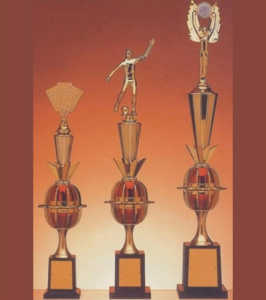 Linha Alfa - Troféu 529